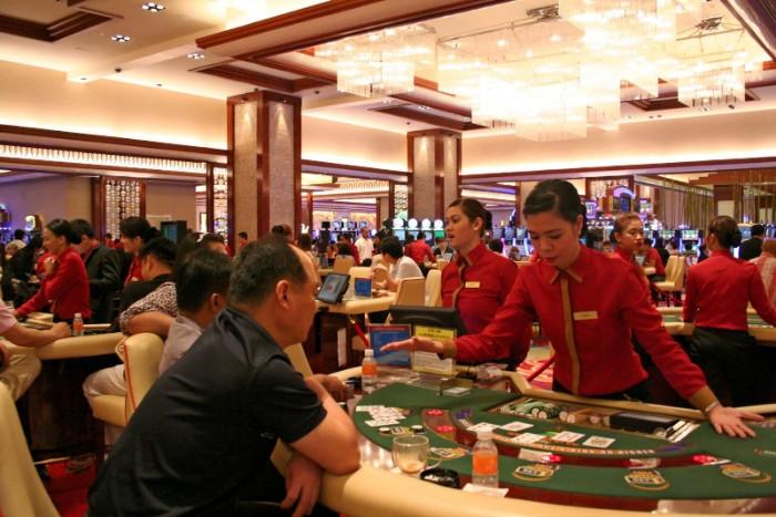 Khám phá sơ đồ lai tạo gà đá giúp nâng cao chất lượng chiến kê